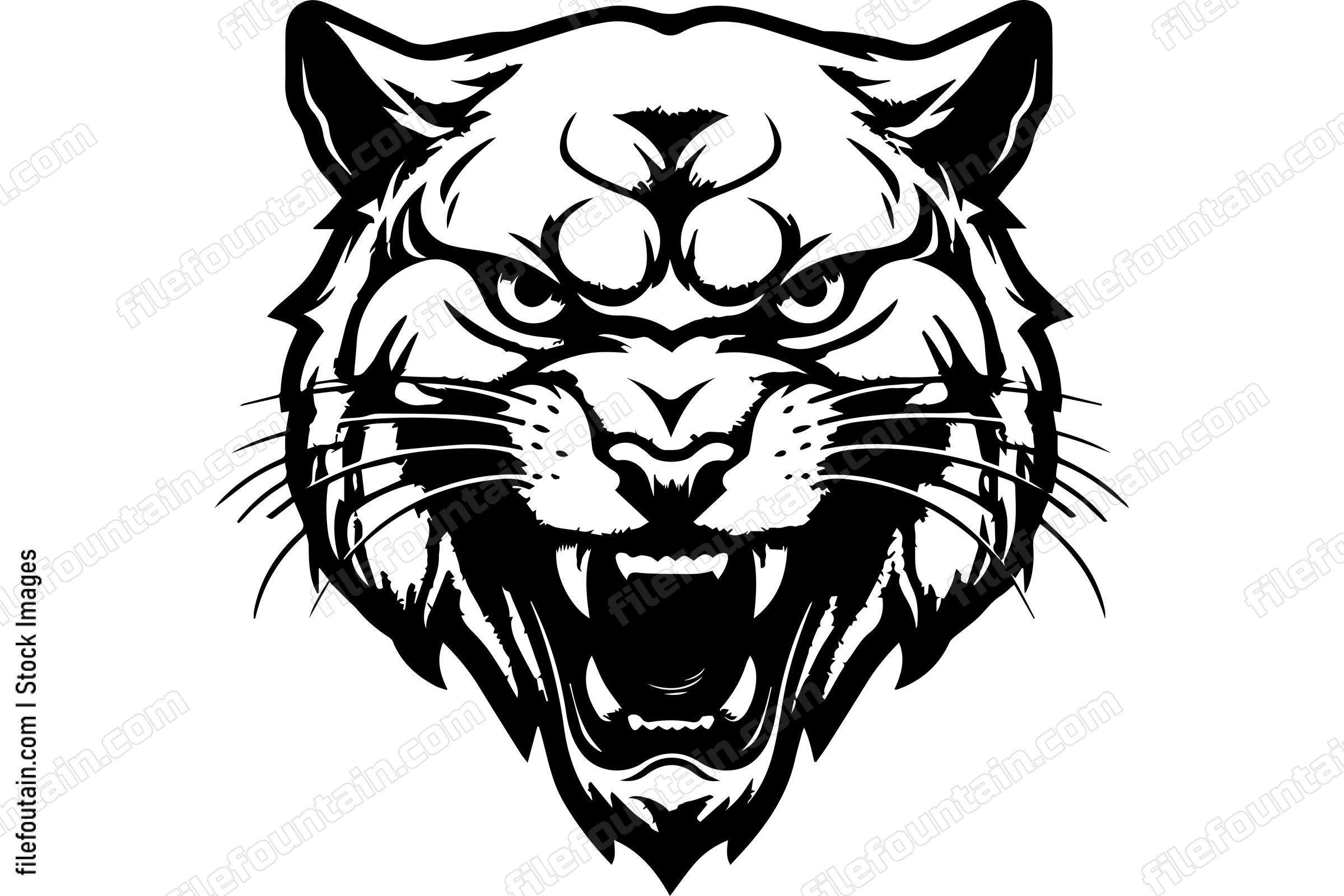 Angry Mountain Lion