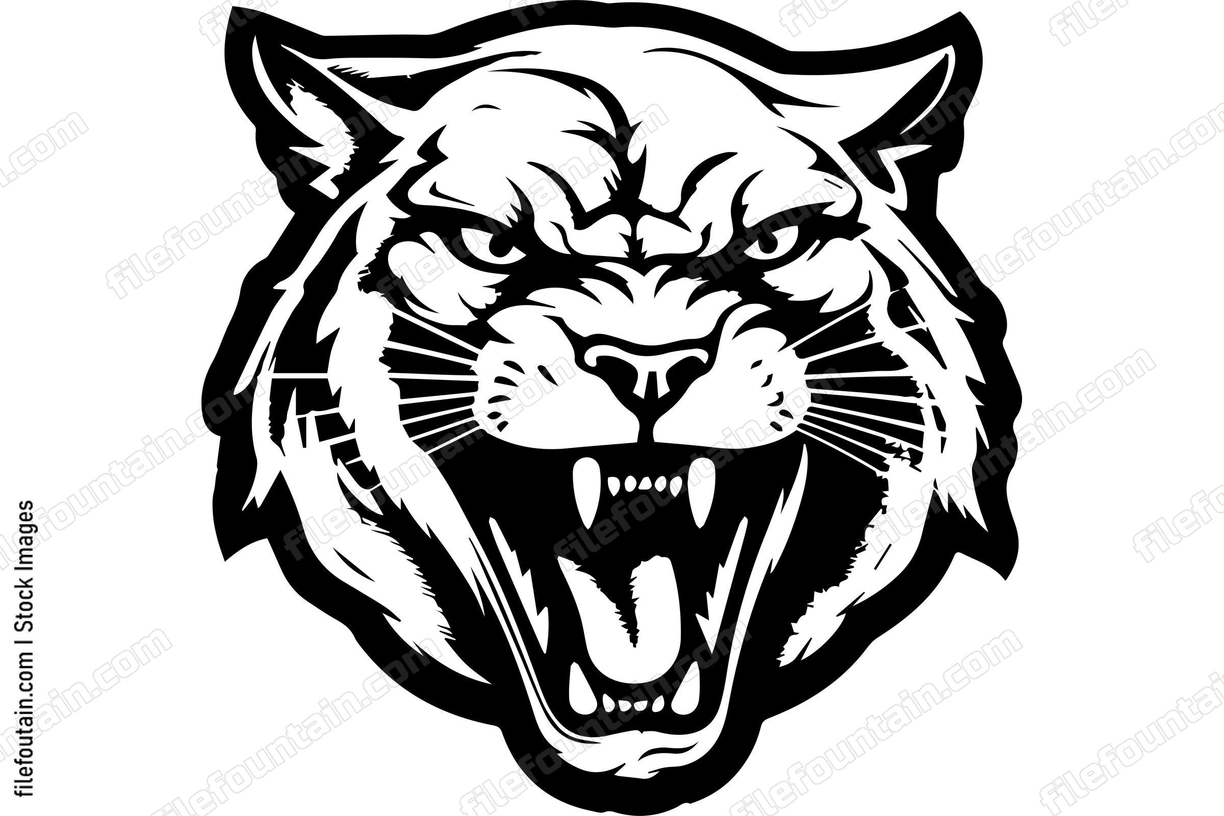 Angry Mountain Lion