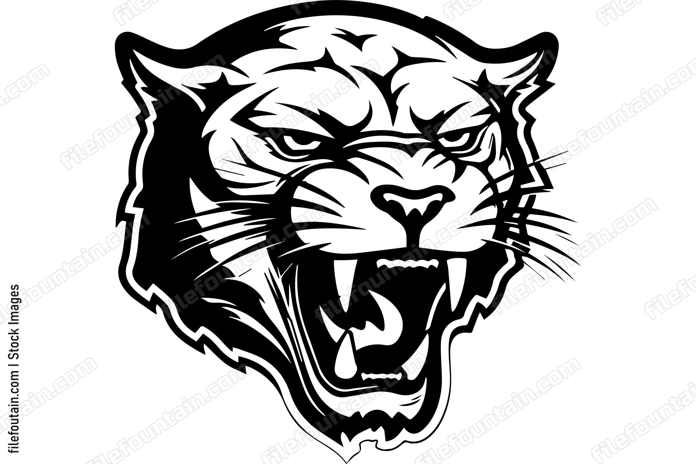 Angry Mountain Lion
