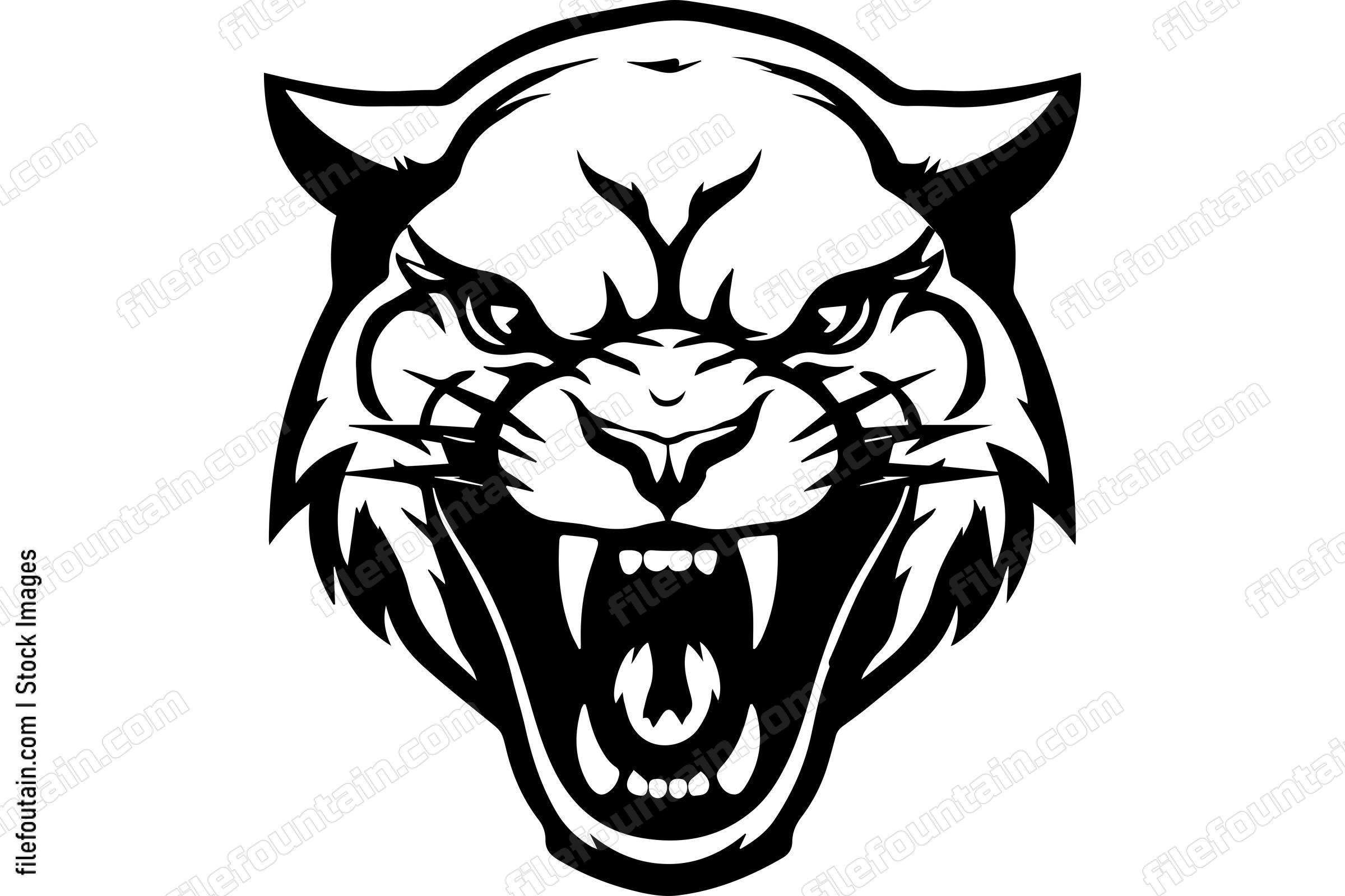 Angry Mountain Lion