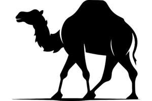 Bactrian Camel