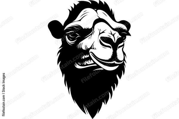 Bactrian Camel