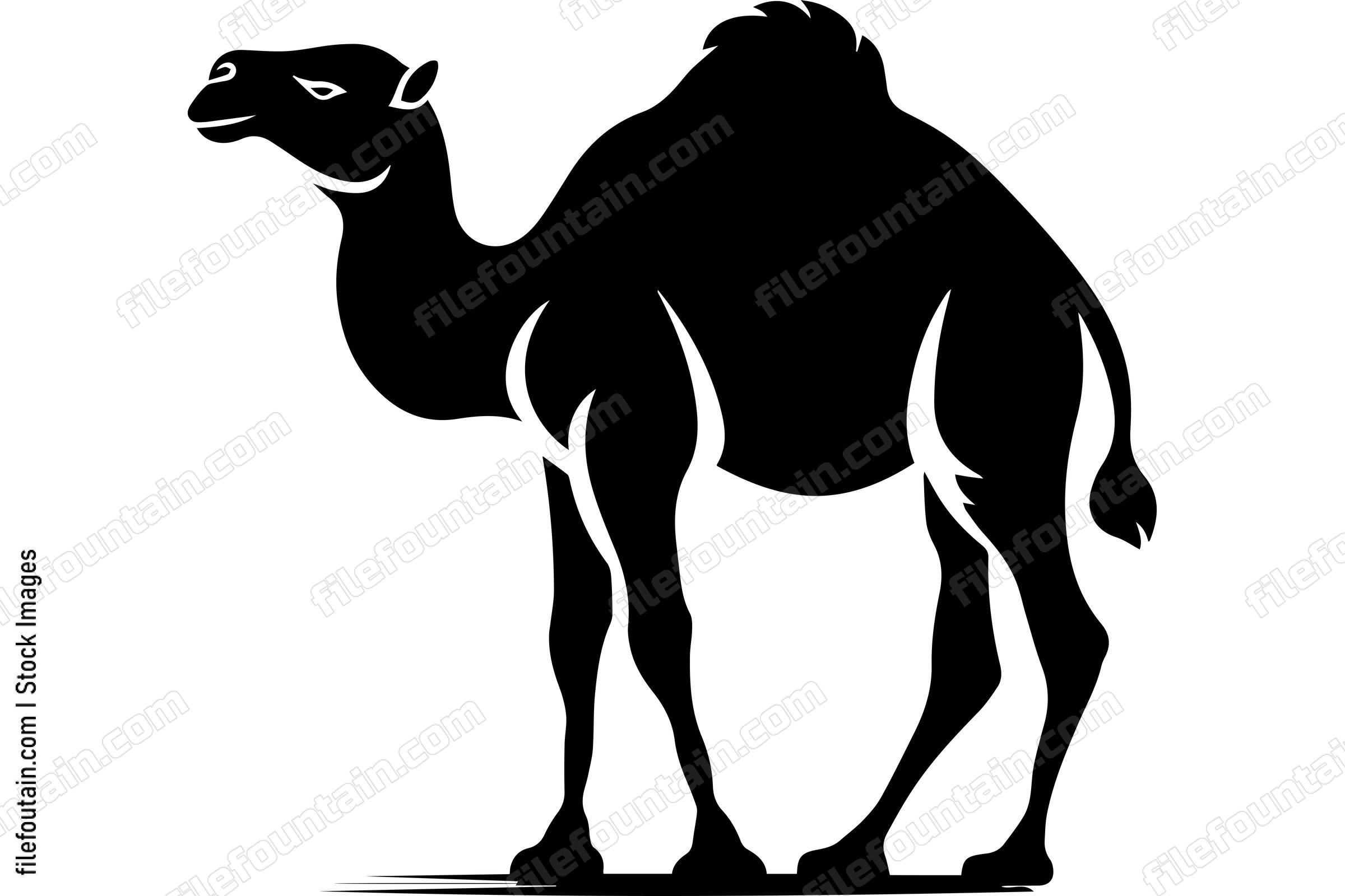 Bactrian Camel
