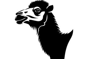 Bactrian Camel