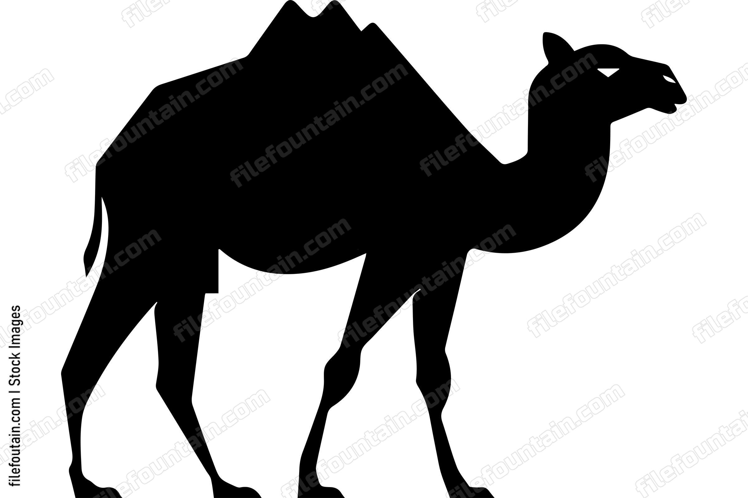 Bactrian Camel