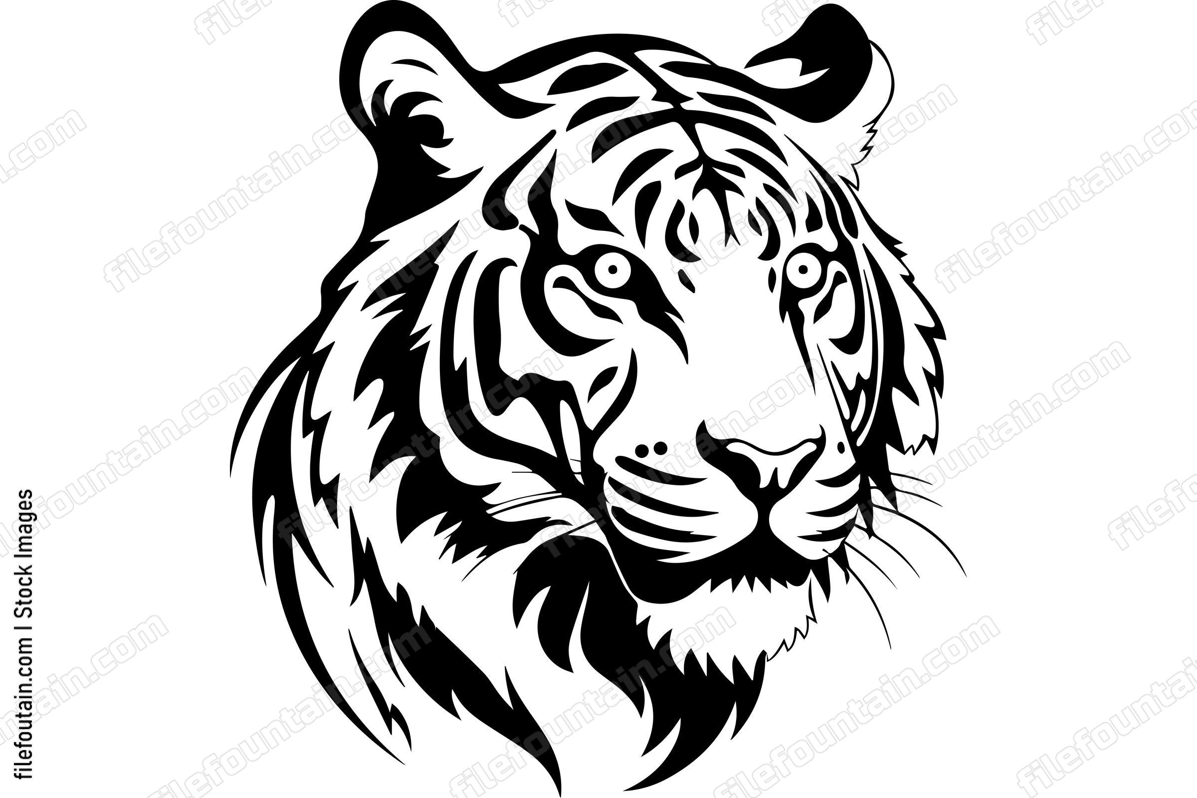 Bengal Tiger