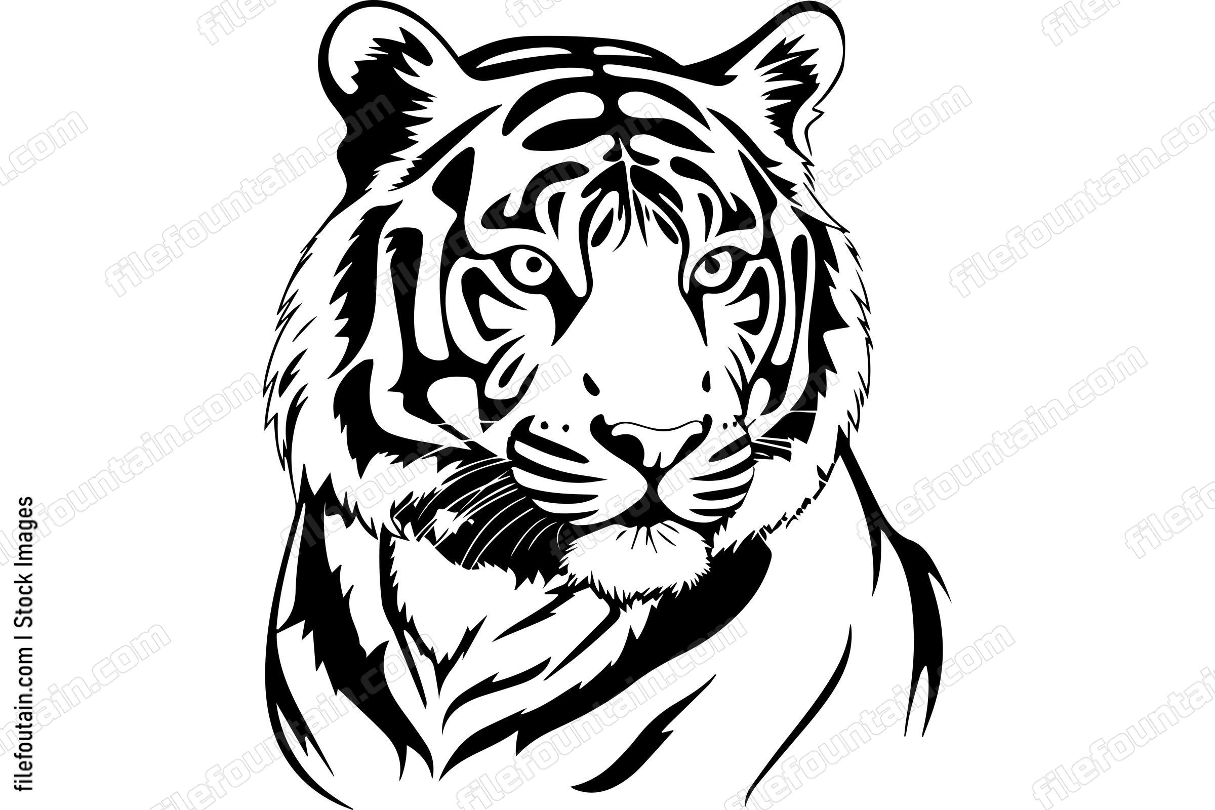 Bengal Tiger