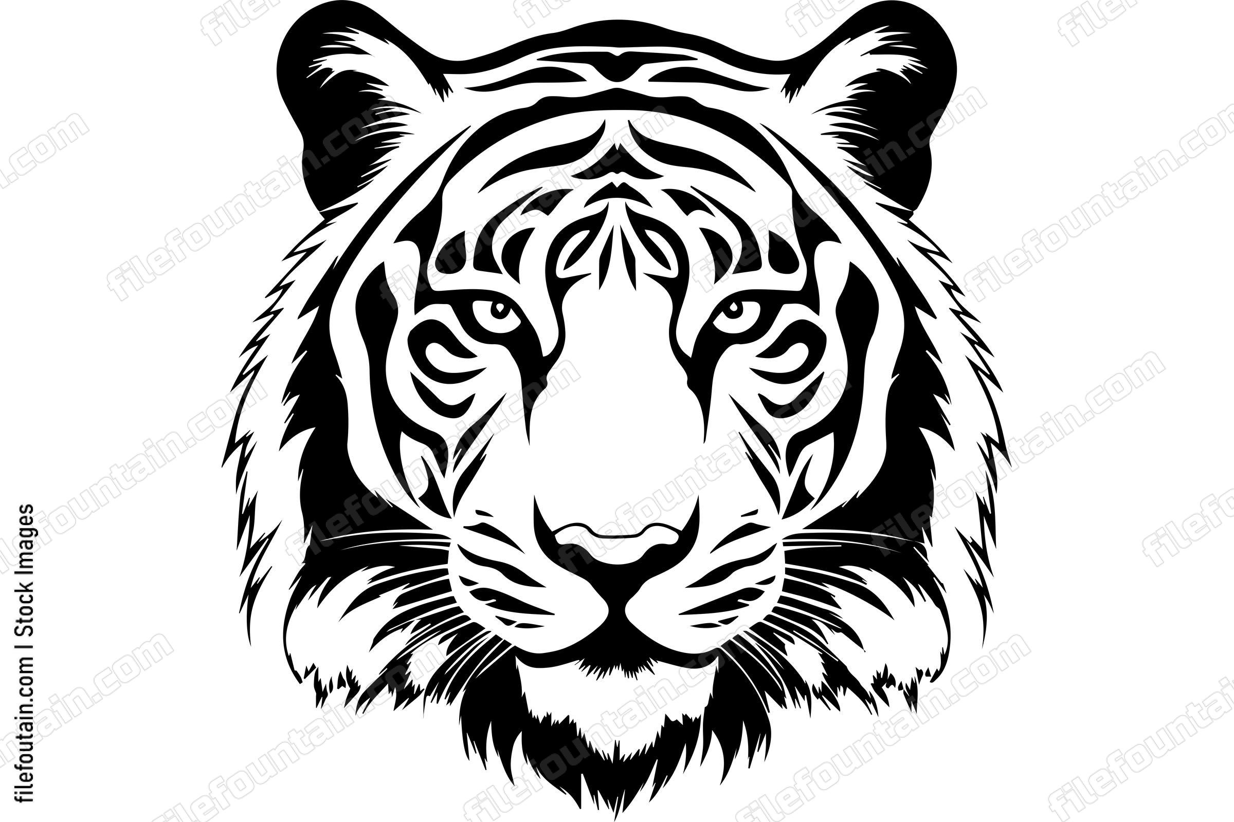 Bengal Tiger