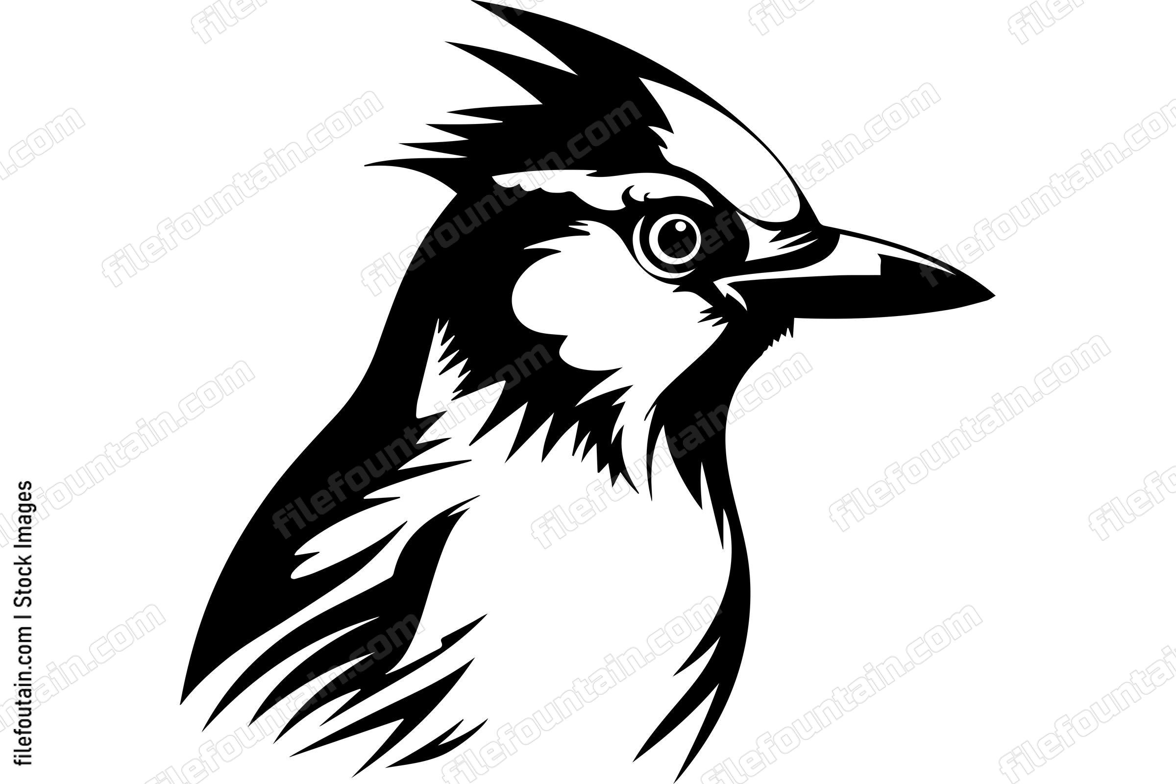 Blue Jay