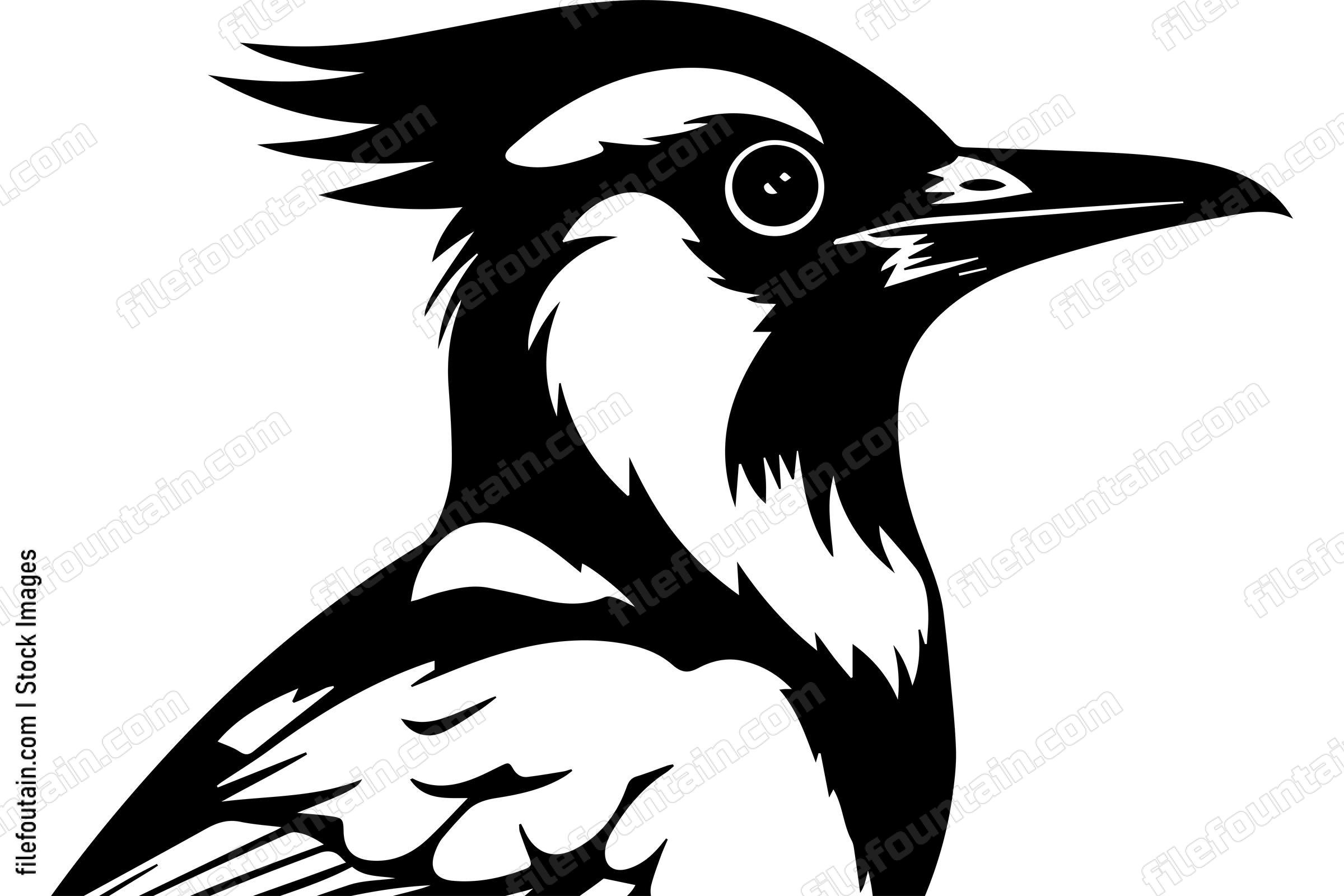 Blue Jay