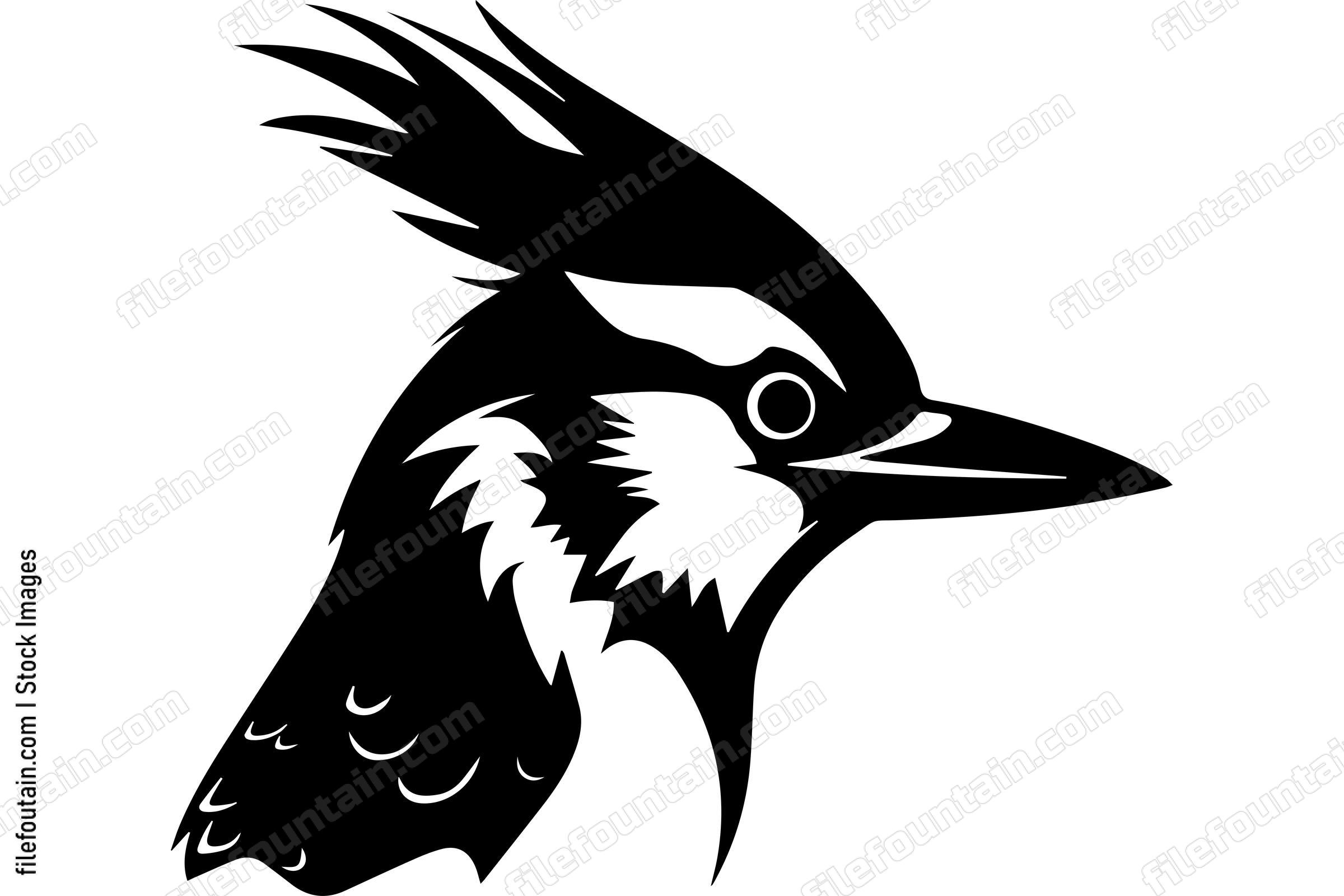 Blue Jay