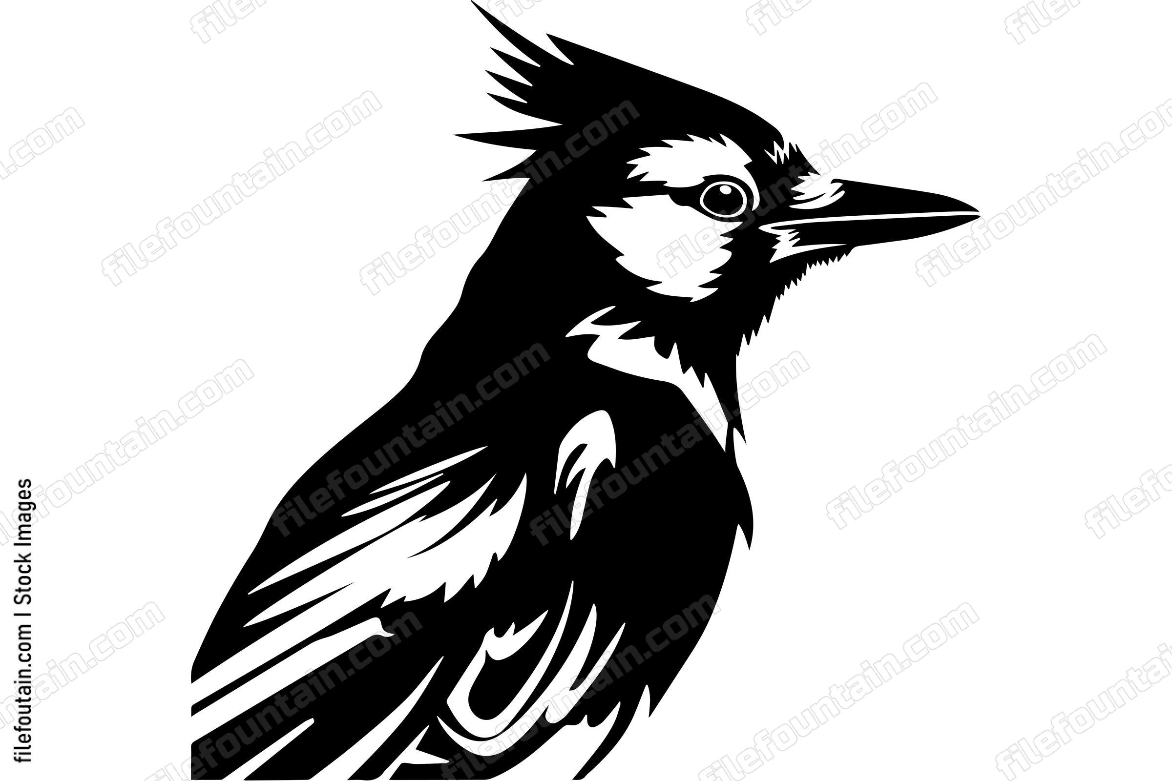 Blue Jay