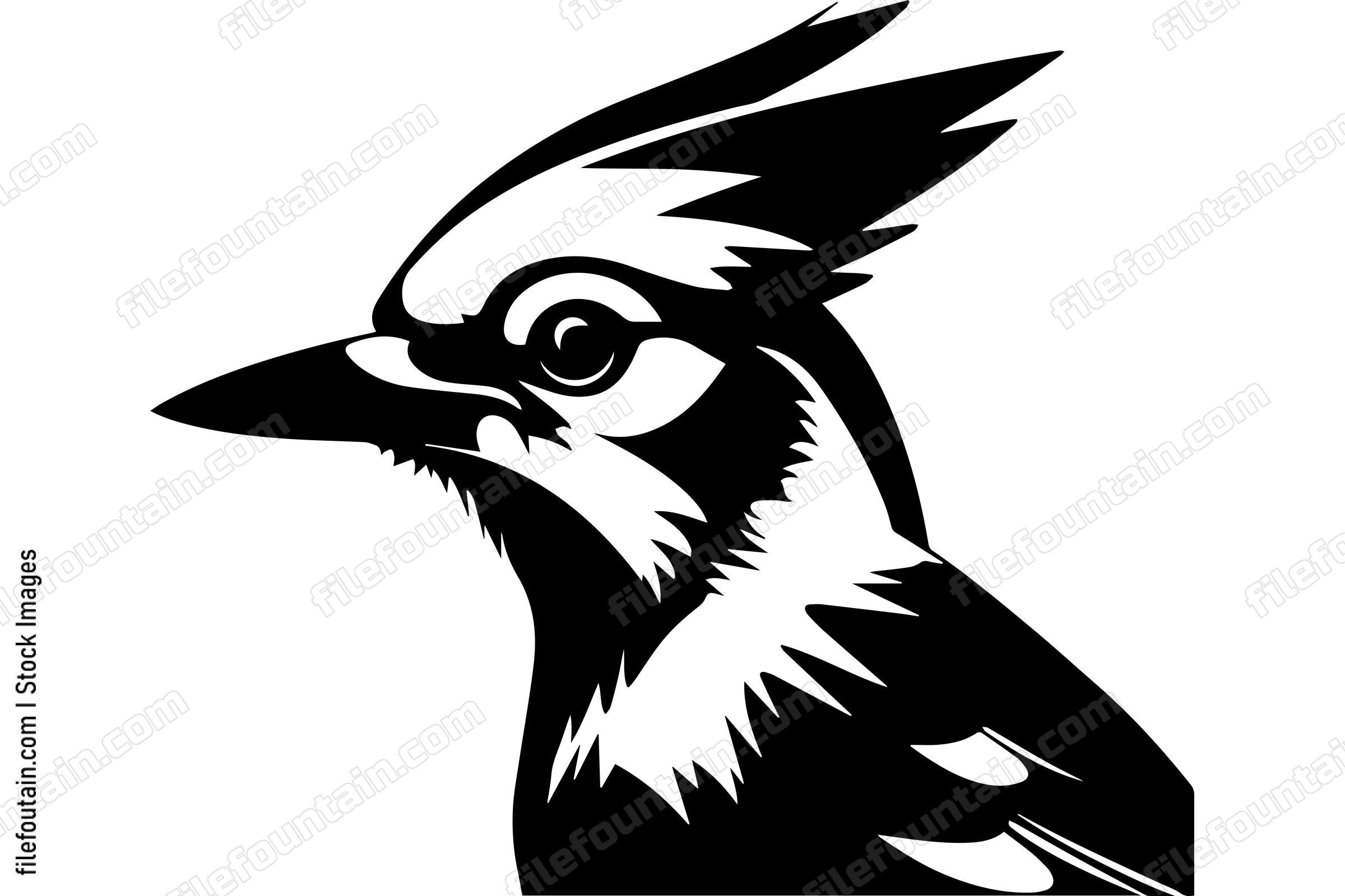 Blue Jay