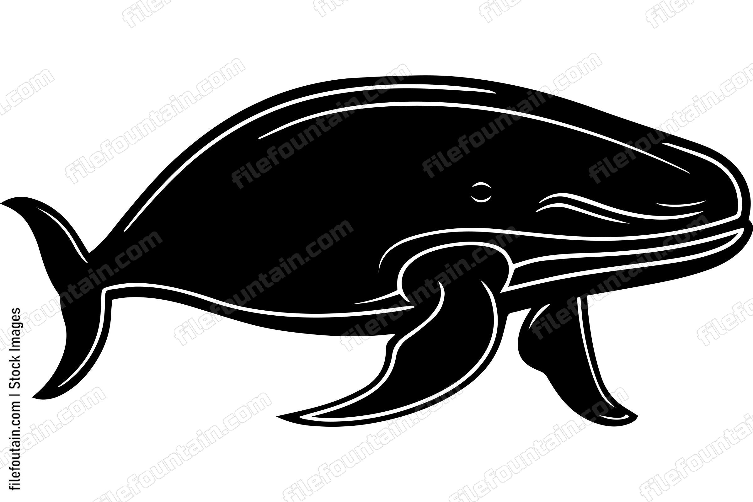 Blue Whale
