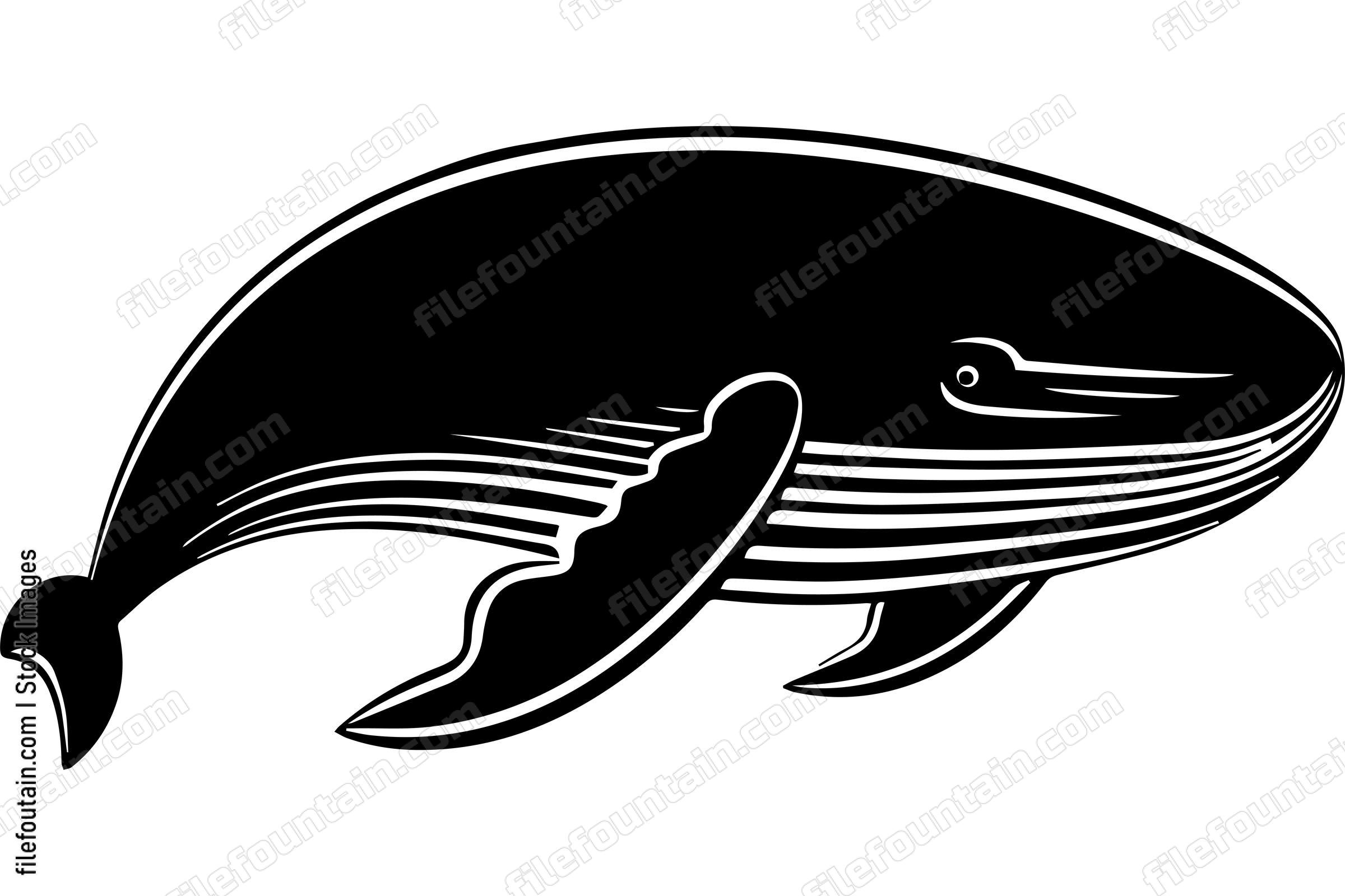 Blue Whale