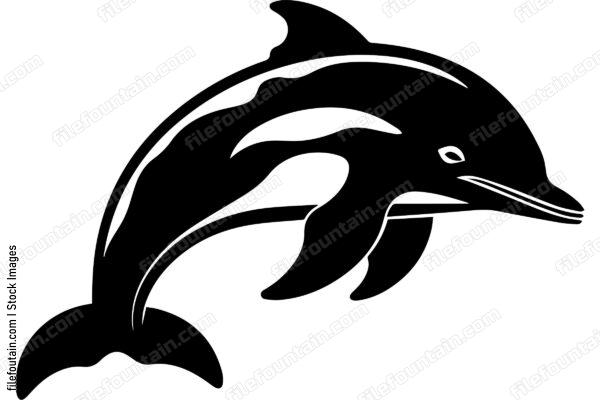 Bottlenose Dolphin