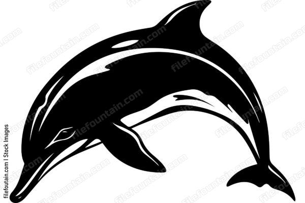 Bottlenose Dolphin