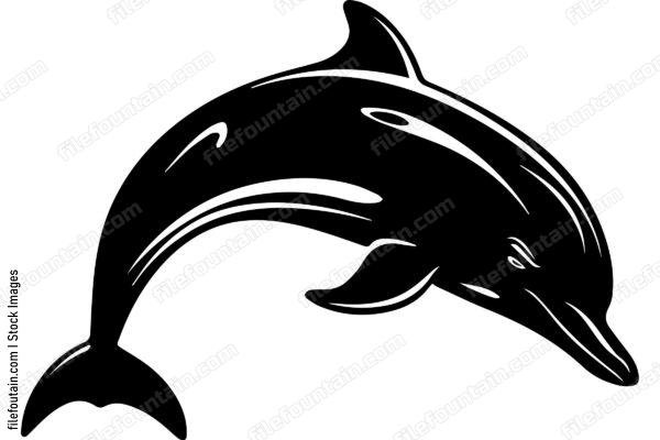 Bottlenose Dolphin