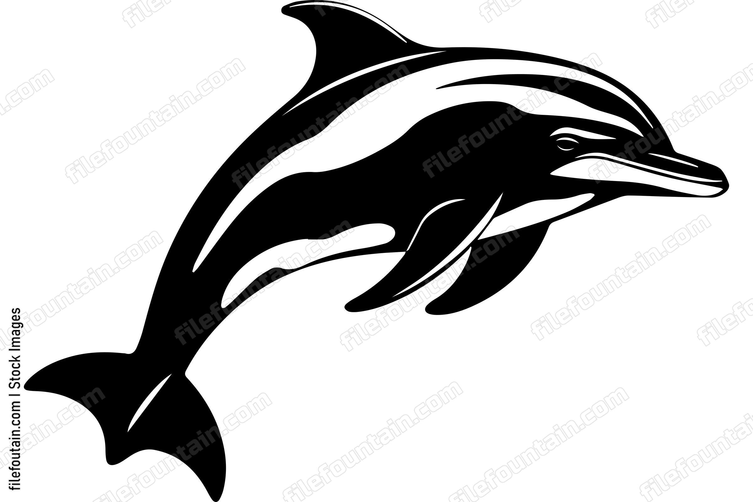 Bottlenose Dolphin