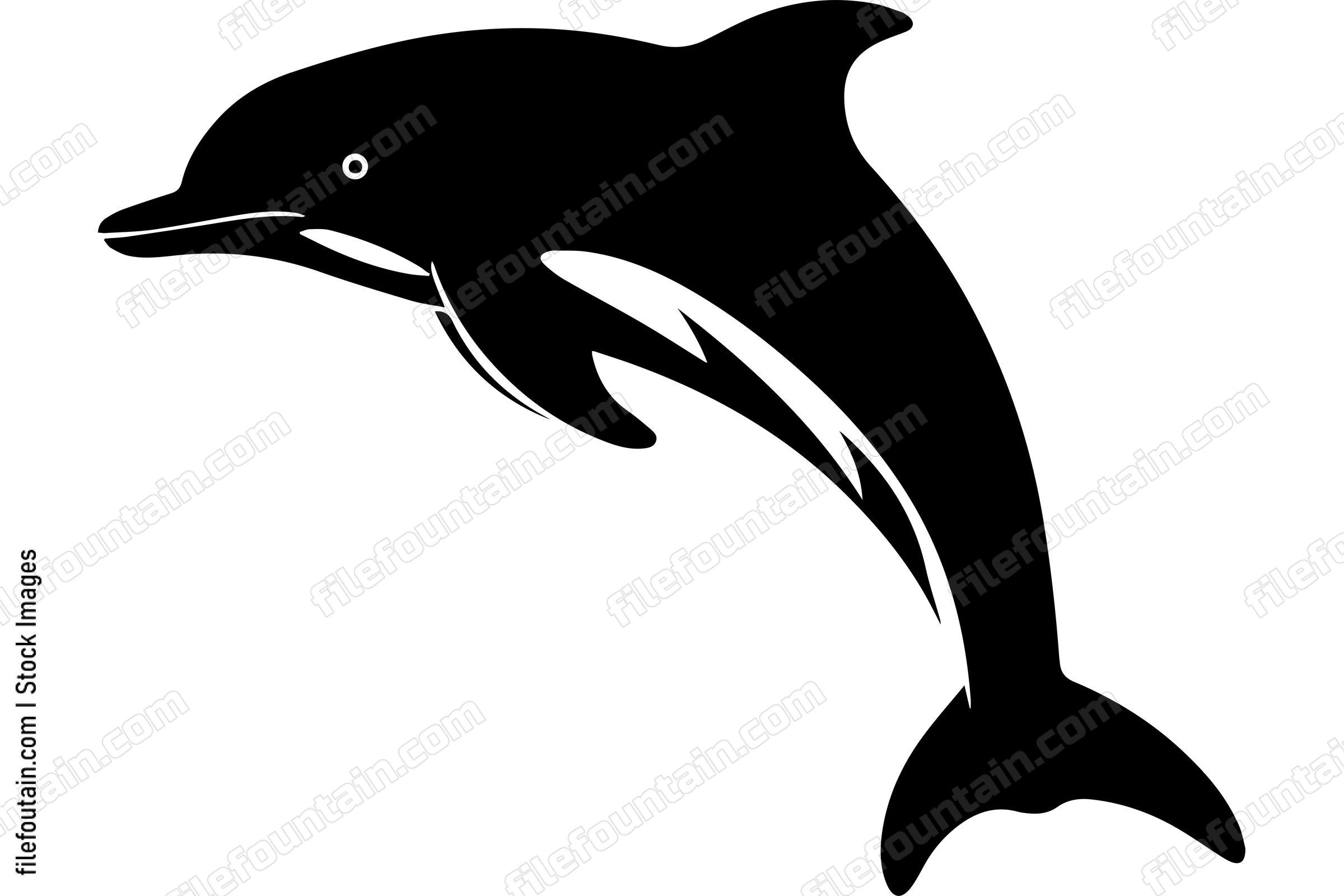Bottlenose Dolphin