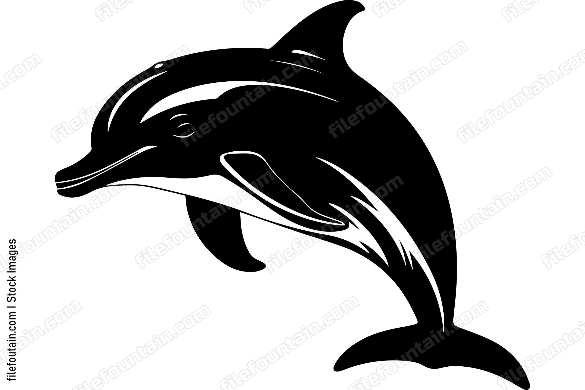Bottlenose Dolphin