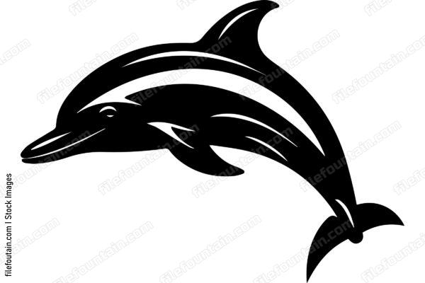 Bottlenose Dolphin