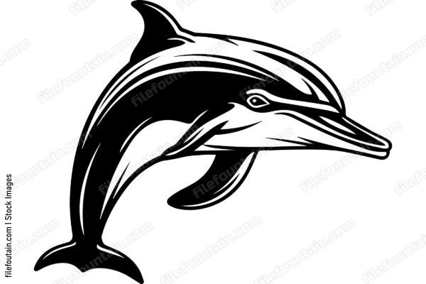 Bottlenose Dolphin