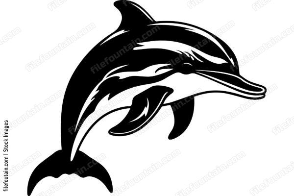 Bottlenose Dolphin