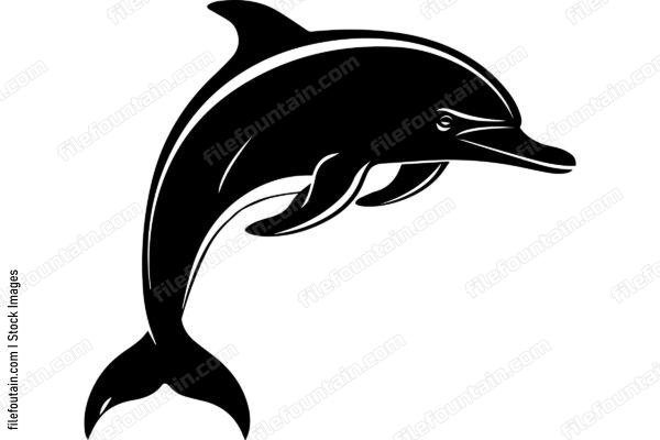 Bottlenose Dolphin