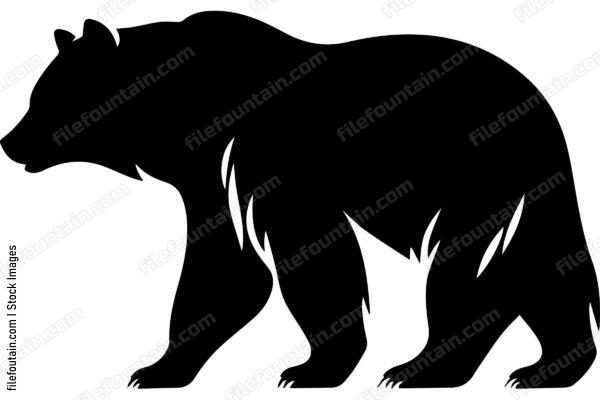 Brown Bear