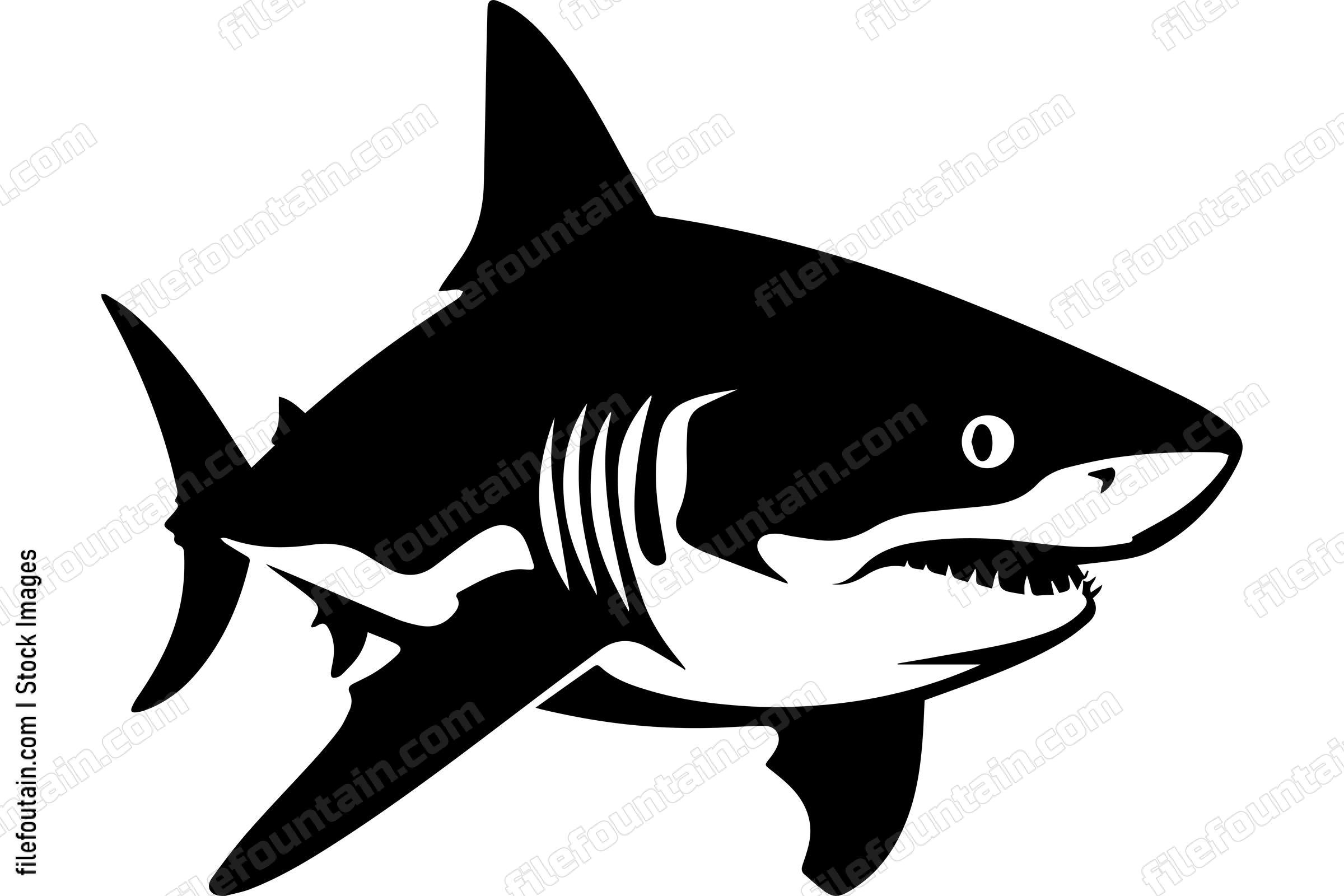 Bull Shark