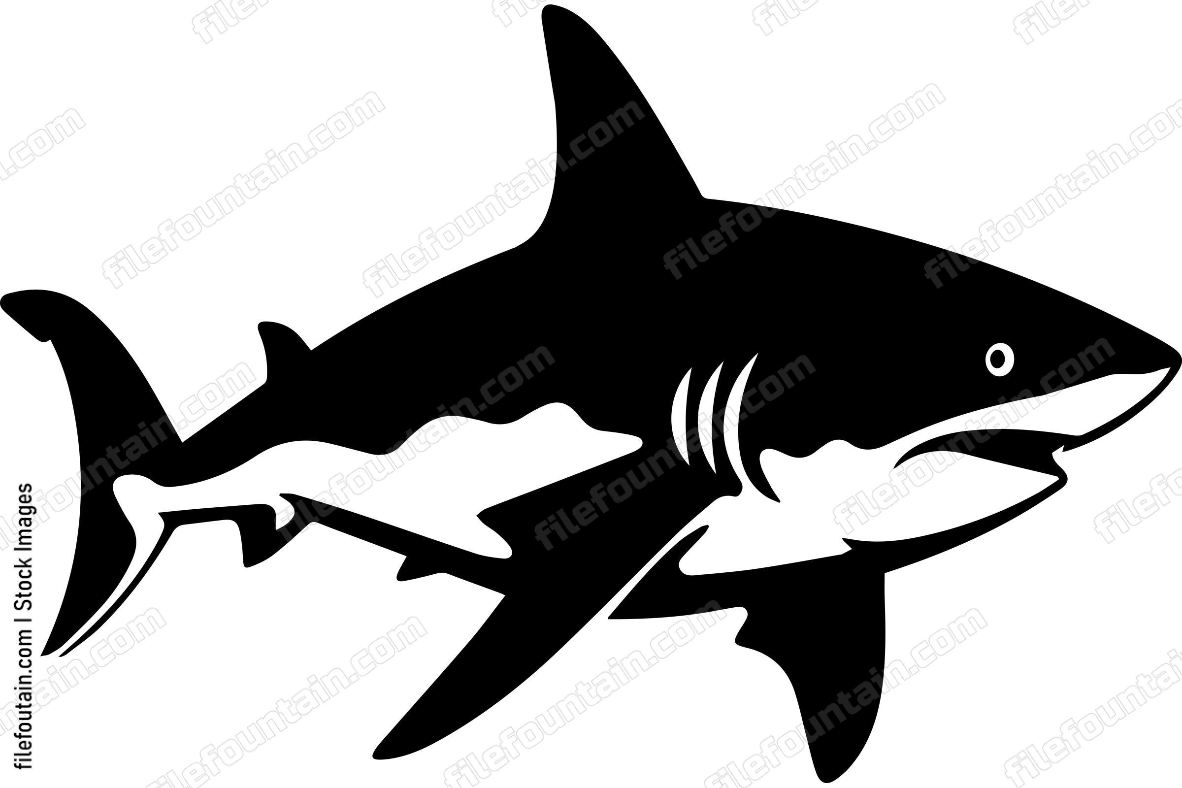 Bull Shark