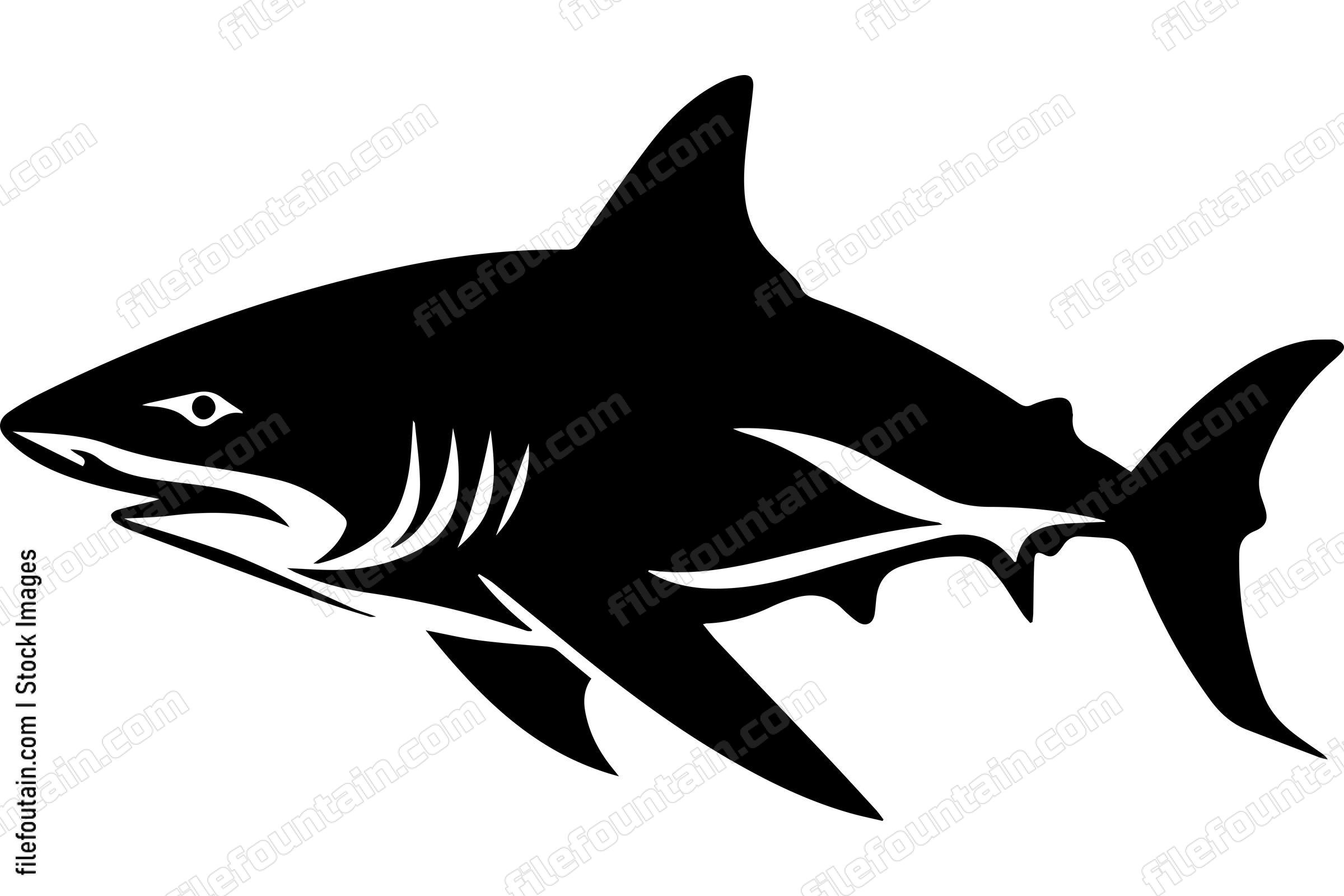 Bull Shark
