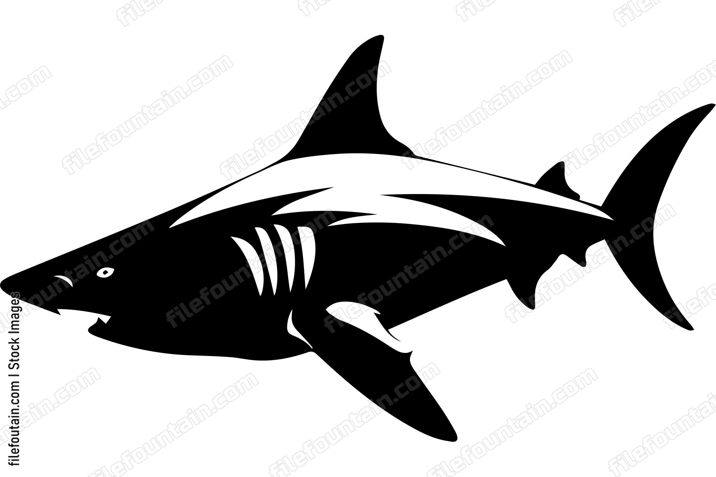 Bull Shark