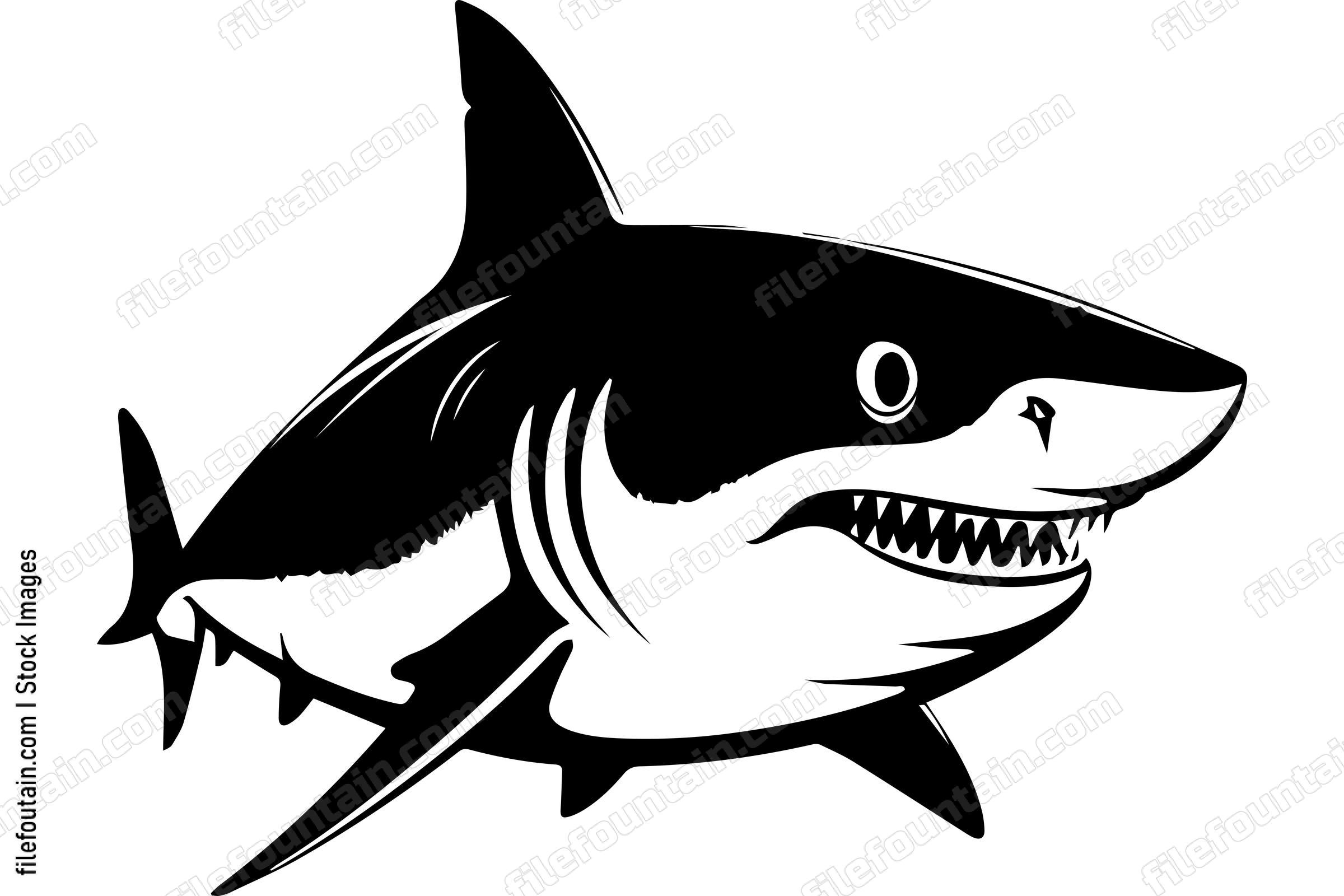Bull Shark