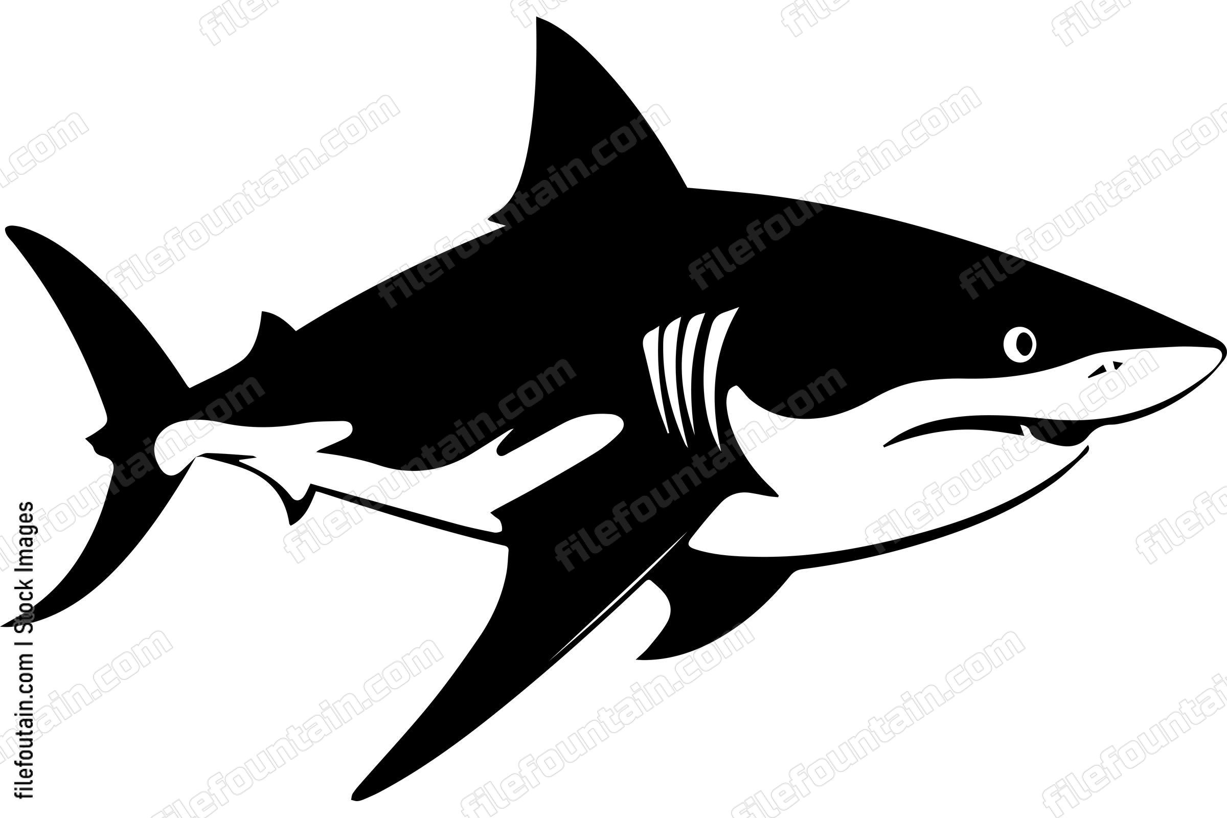 Bull Shark