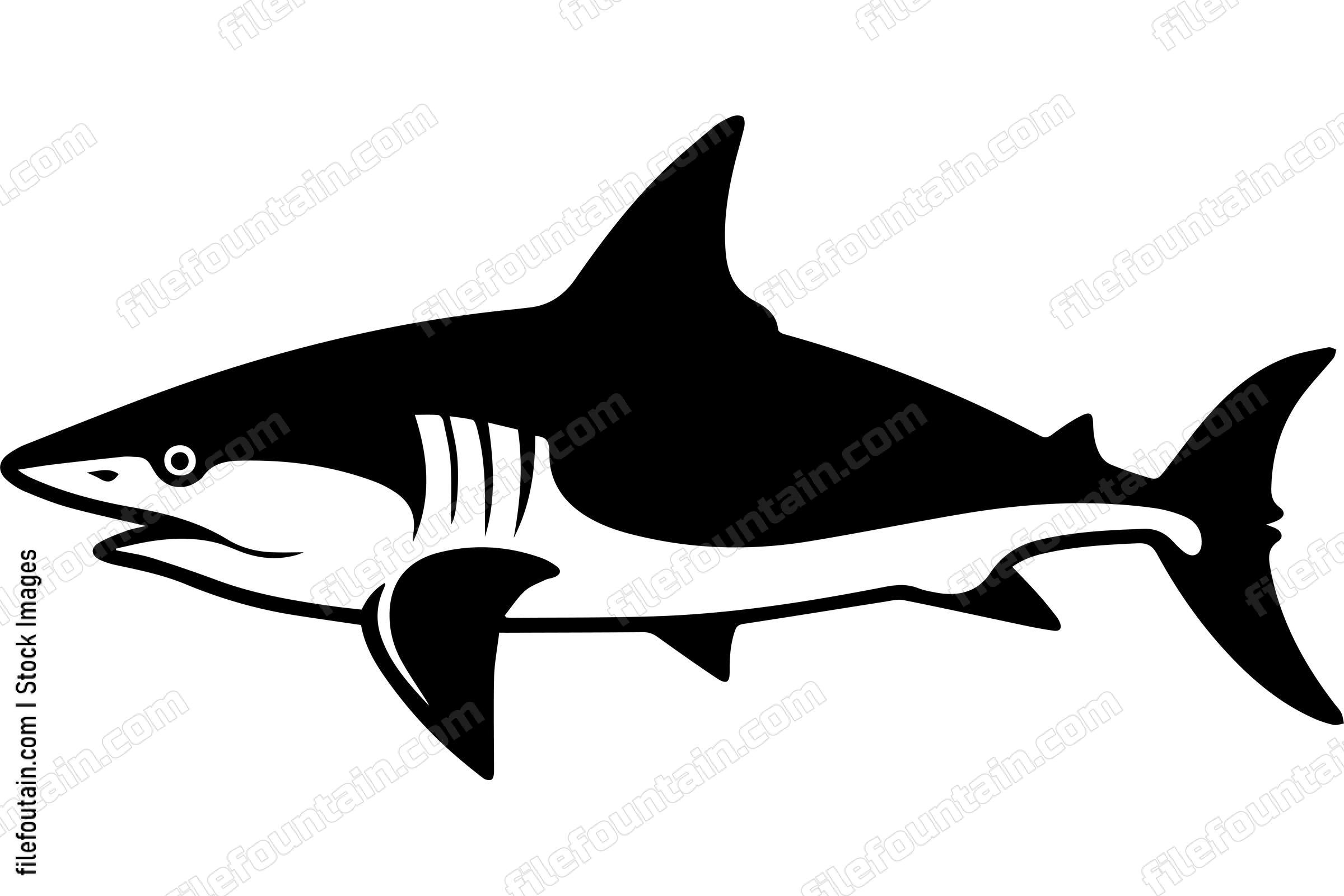 Bull Shark