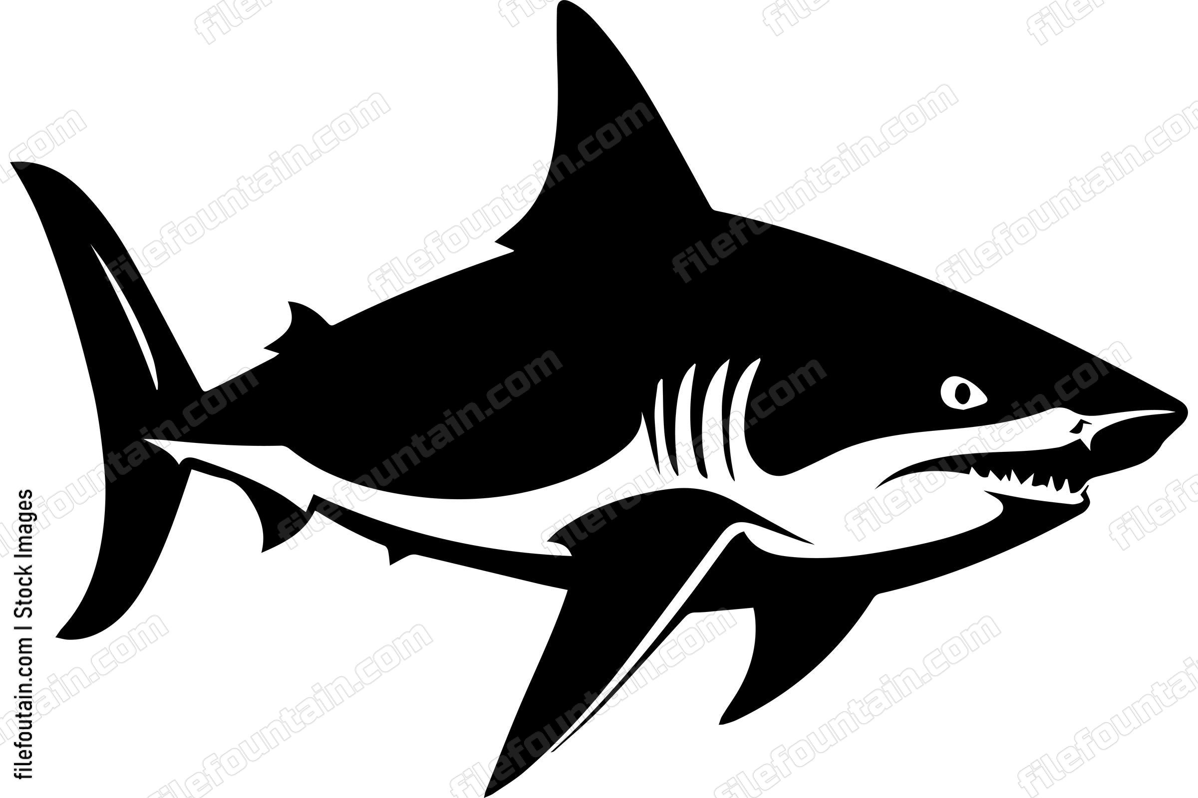 Bull Shark