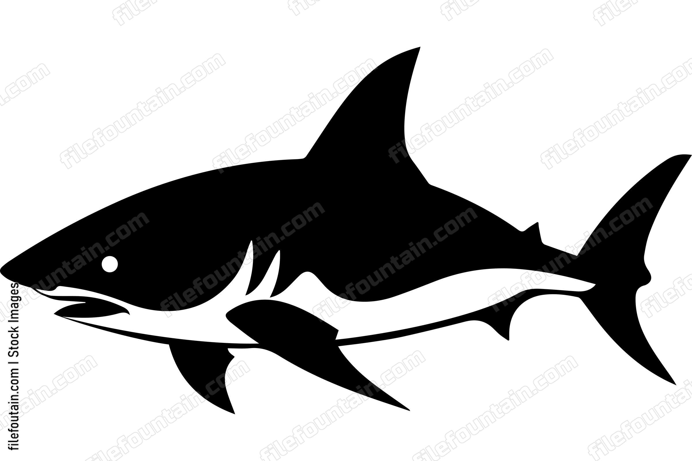 Bull Shark