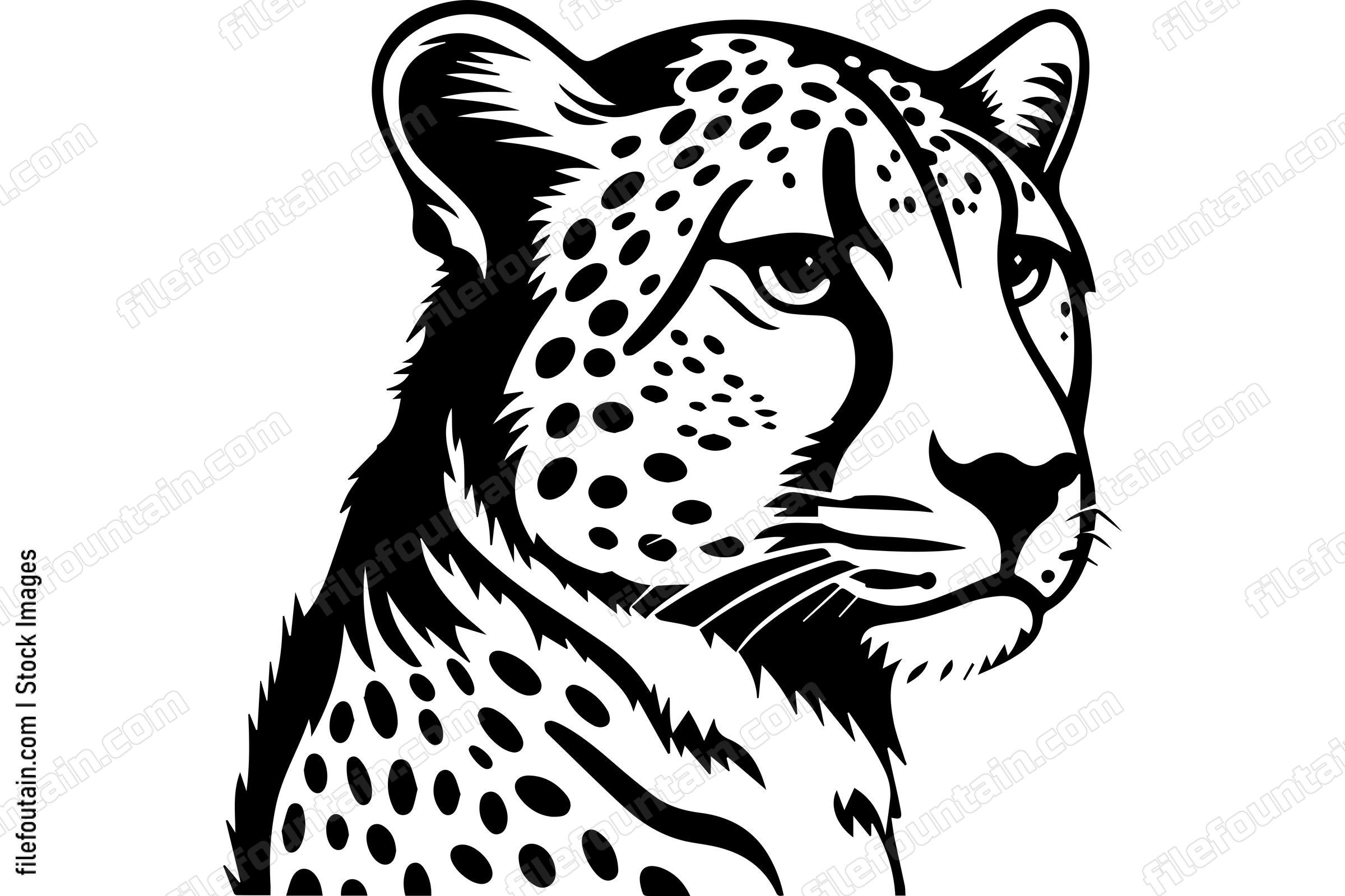 Cheetah
