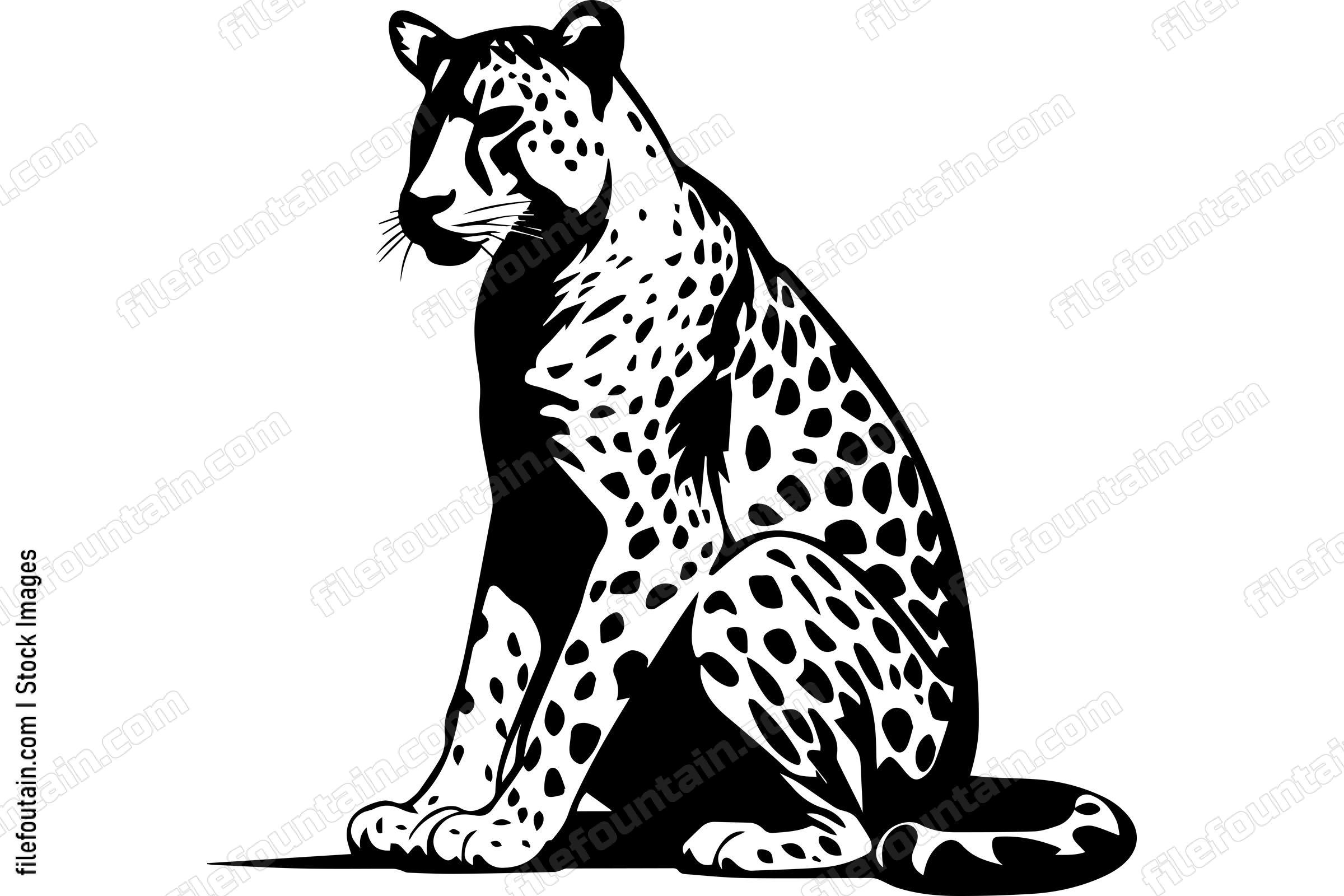 Cheetah
