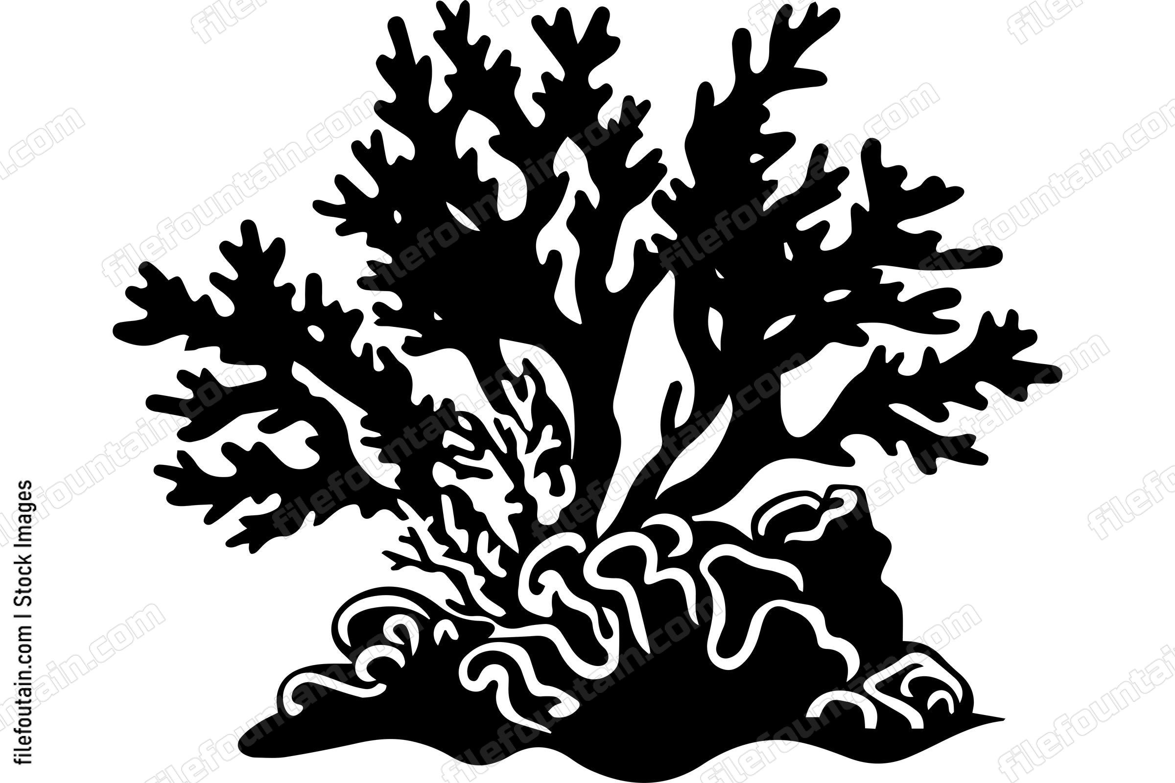 Coral Reefs