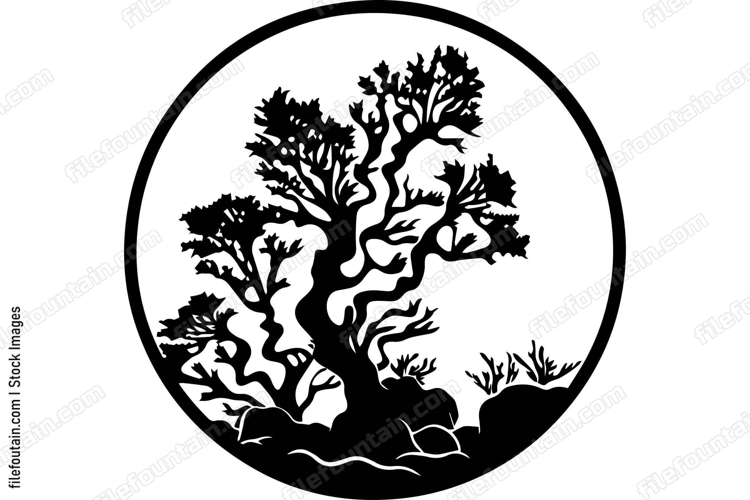 Coral Reefs