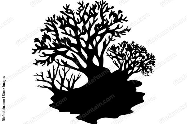 Coral Reefs