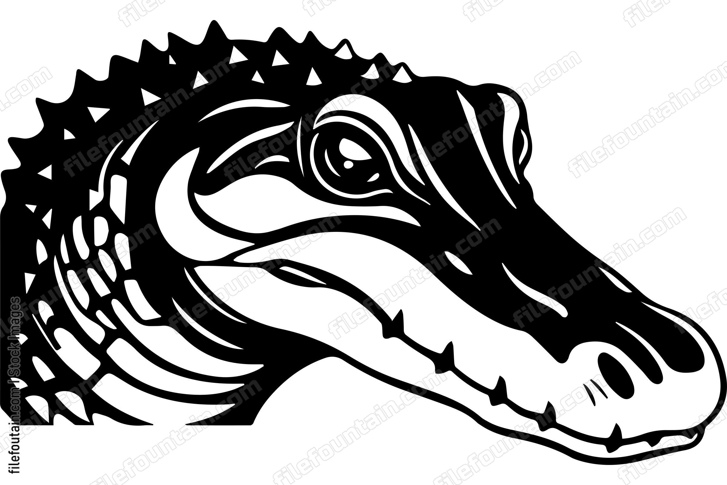Crocodile