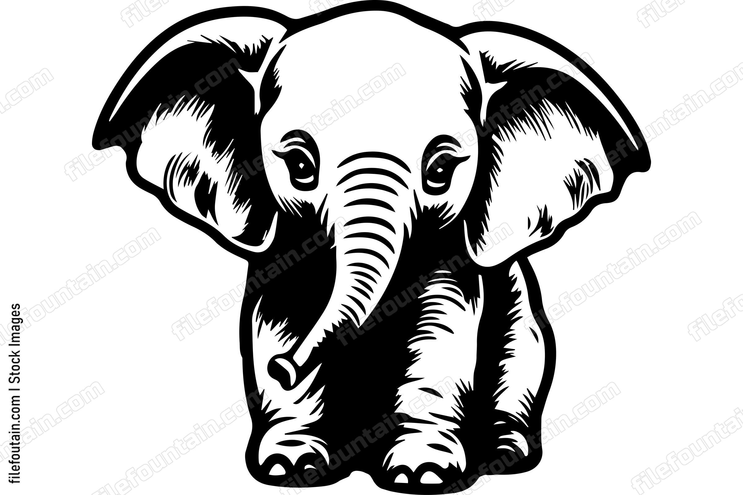 Cute Baby Elephant