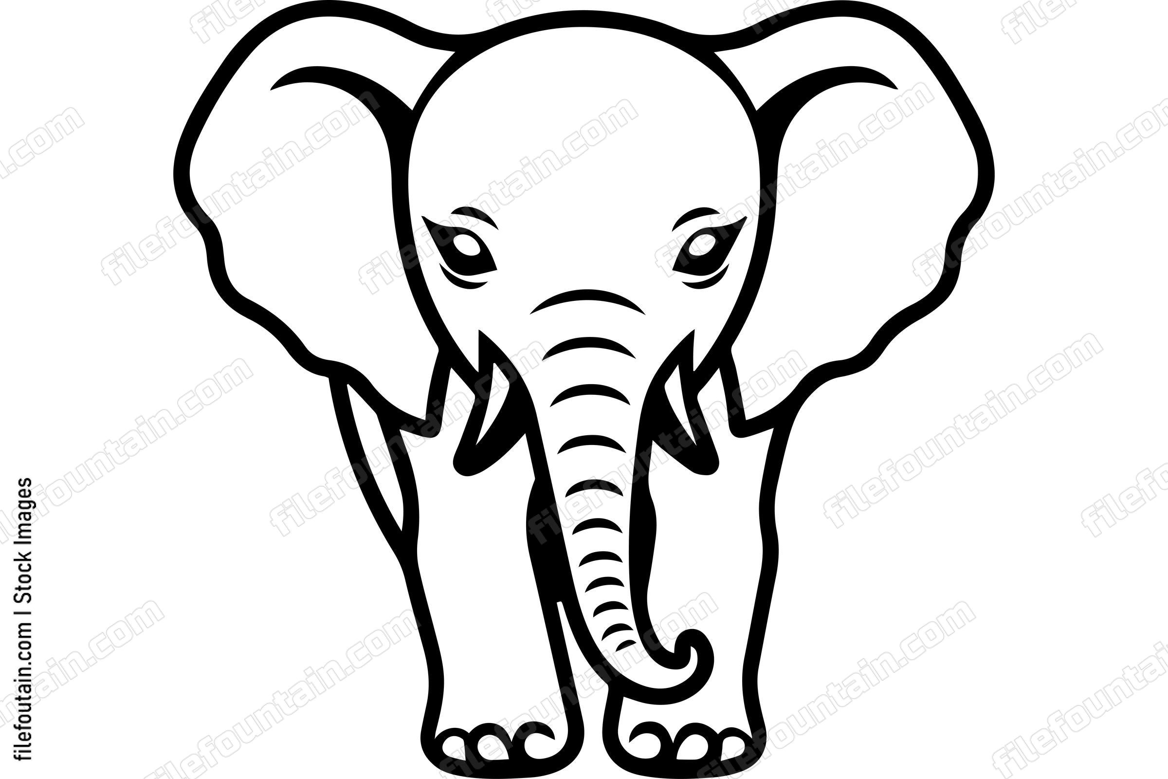 Cute Baby Elephant