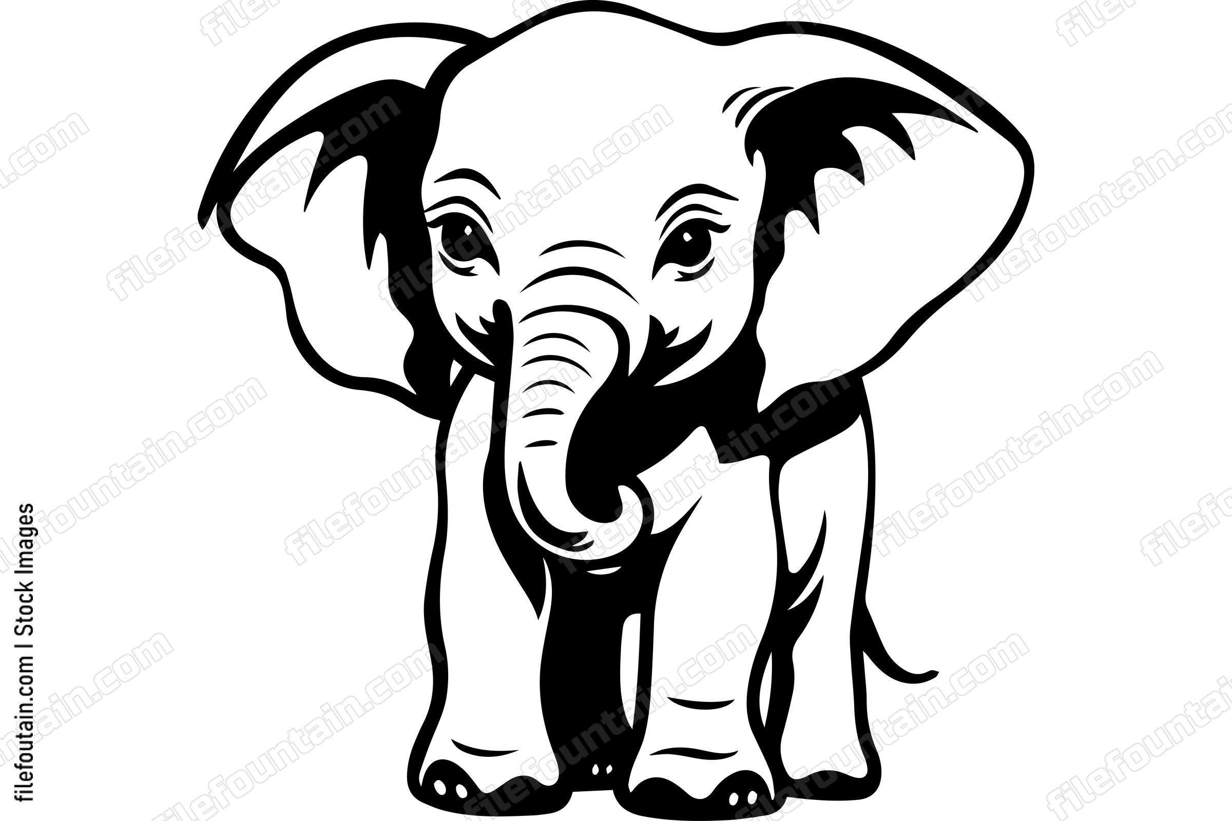 Cute Baby Elephant