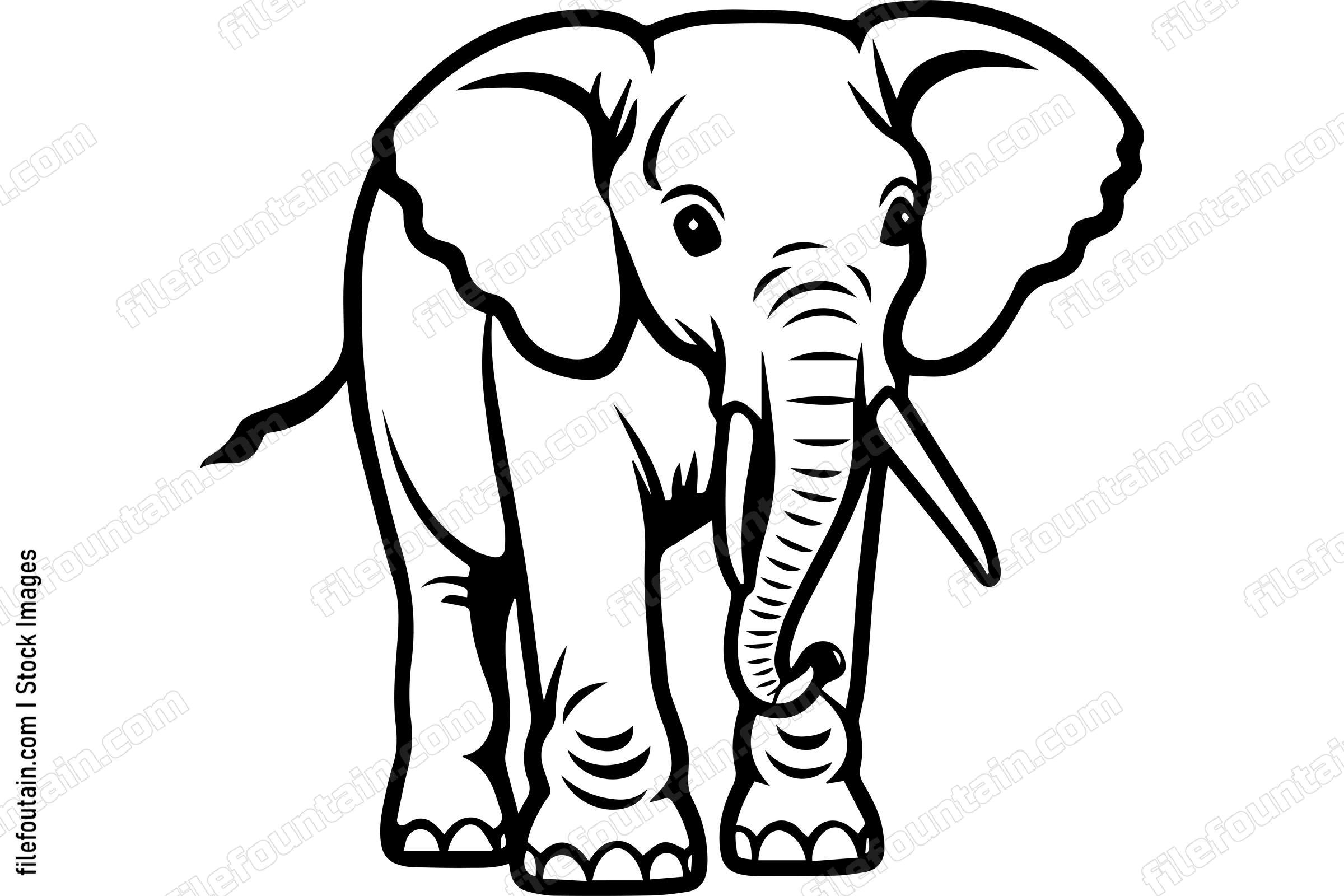 Cute Baby Elephant