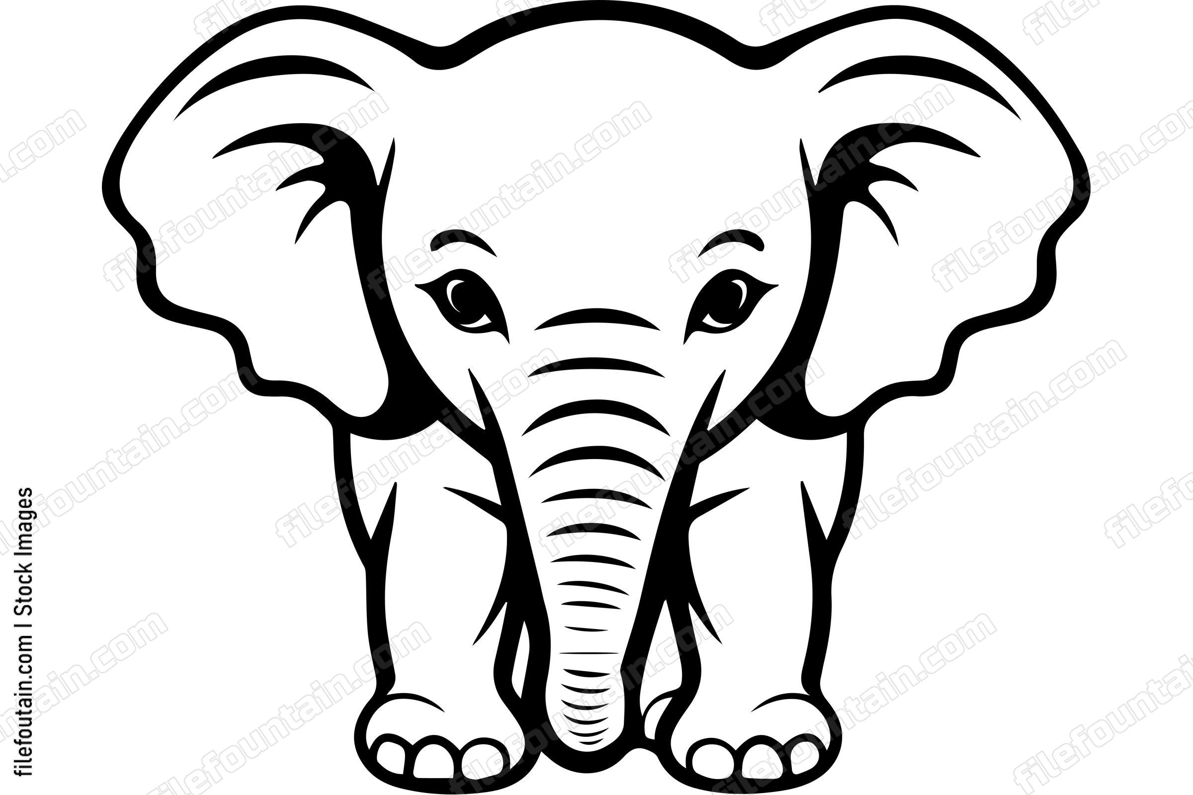 Cute Baby Elephant